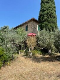 Das Haus vom Garten aus gesehen