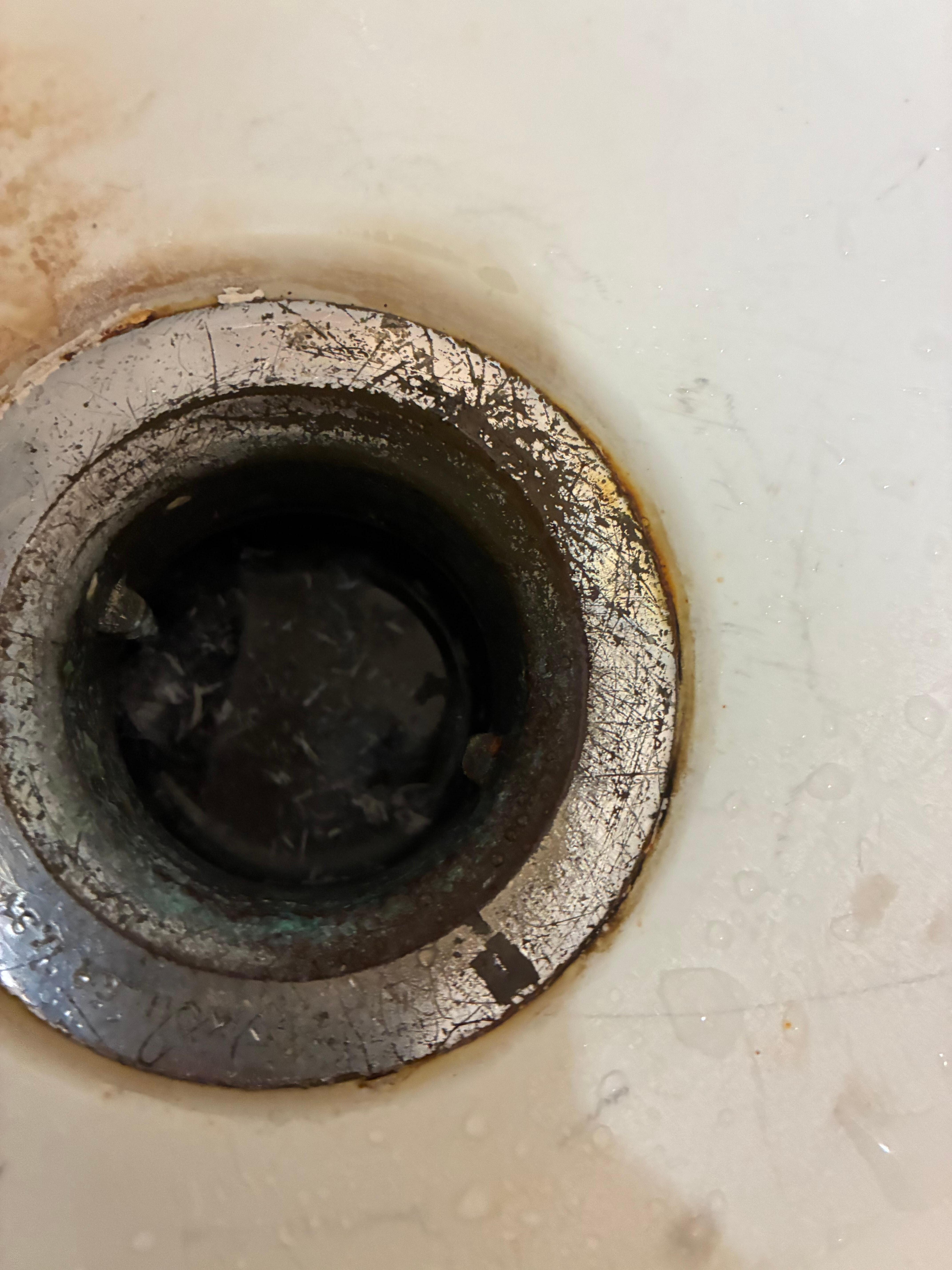 Standing water in the bathtub drain with floating things in it. In person it looked like little fish 