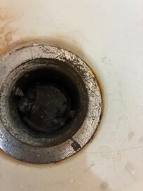 Standing water in the bathtub drain with floating things in it. In person it looked like little fish