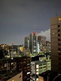 Rooftop view