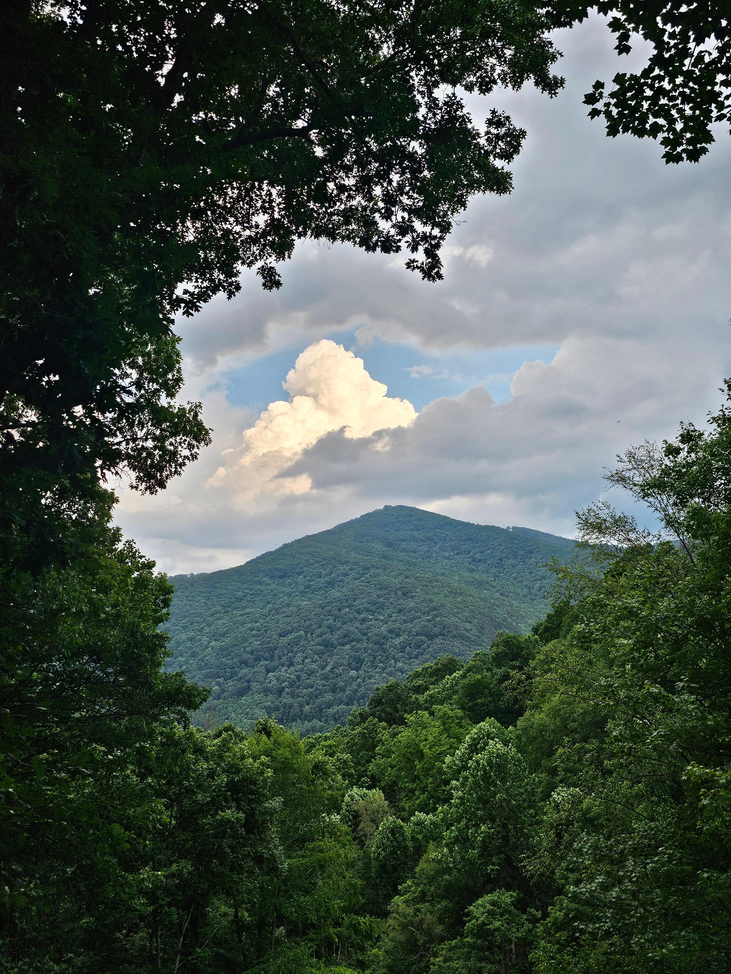 Evening view