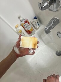 Brand new sponge after cleaning the shower.  It was a biohazard not fit for people to use.