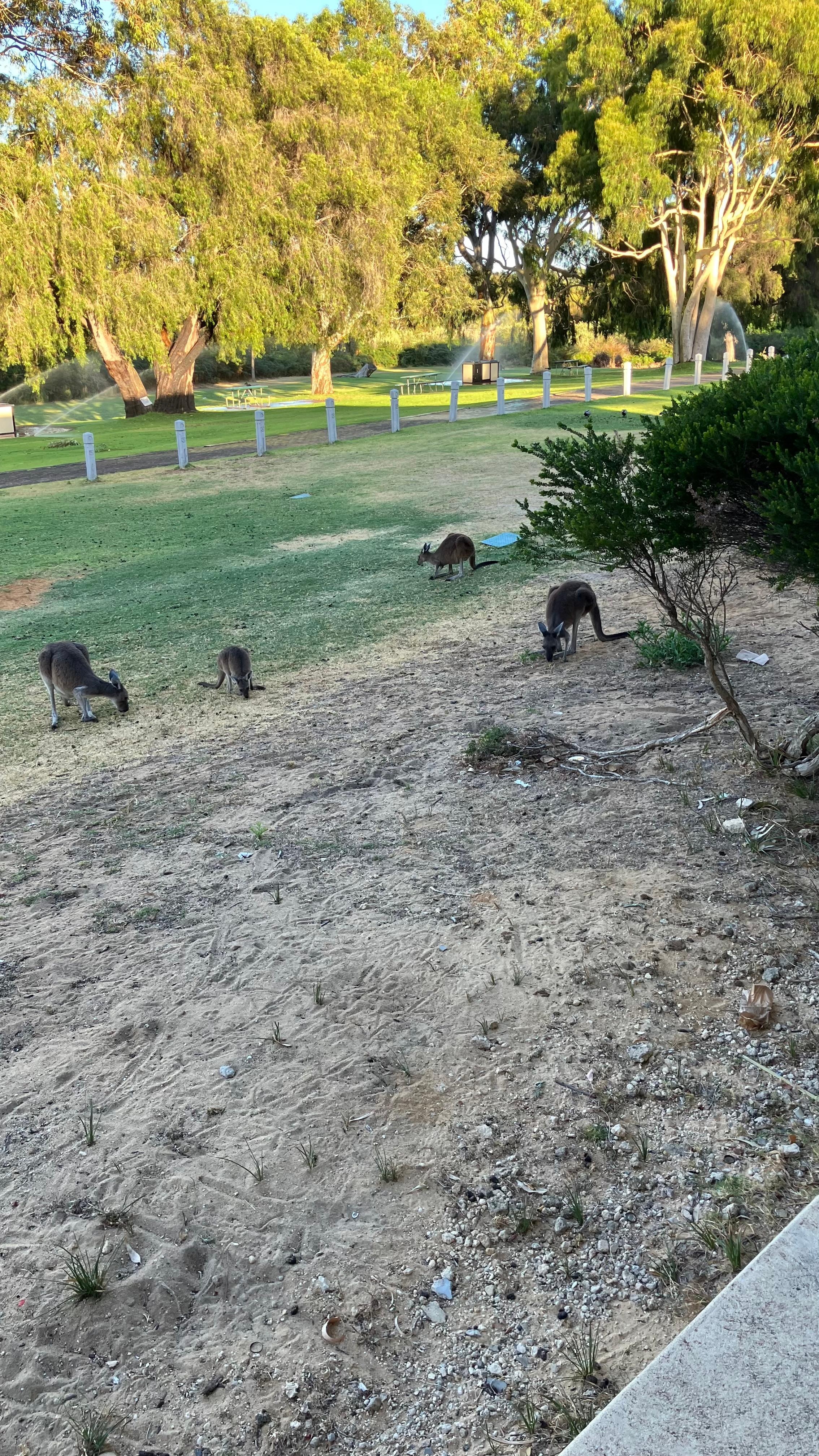 View from the room early morning 