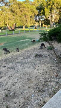 View from the room early morning