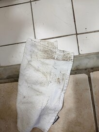 Wiped the floor with wash clothe and this was the result! This was as soon as we arrived!