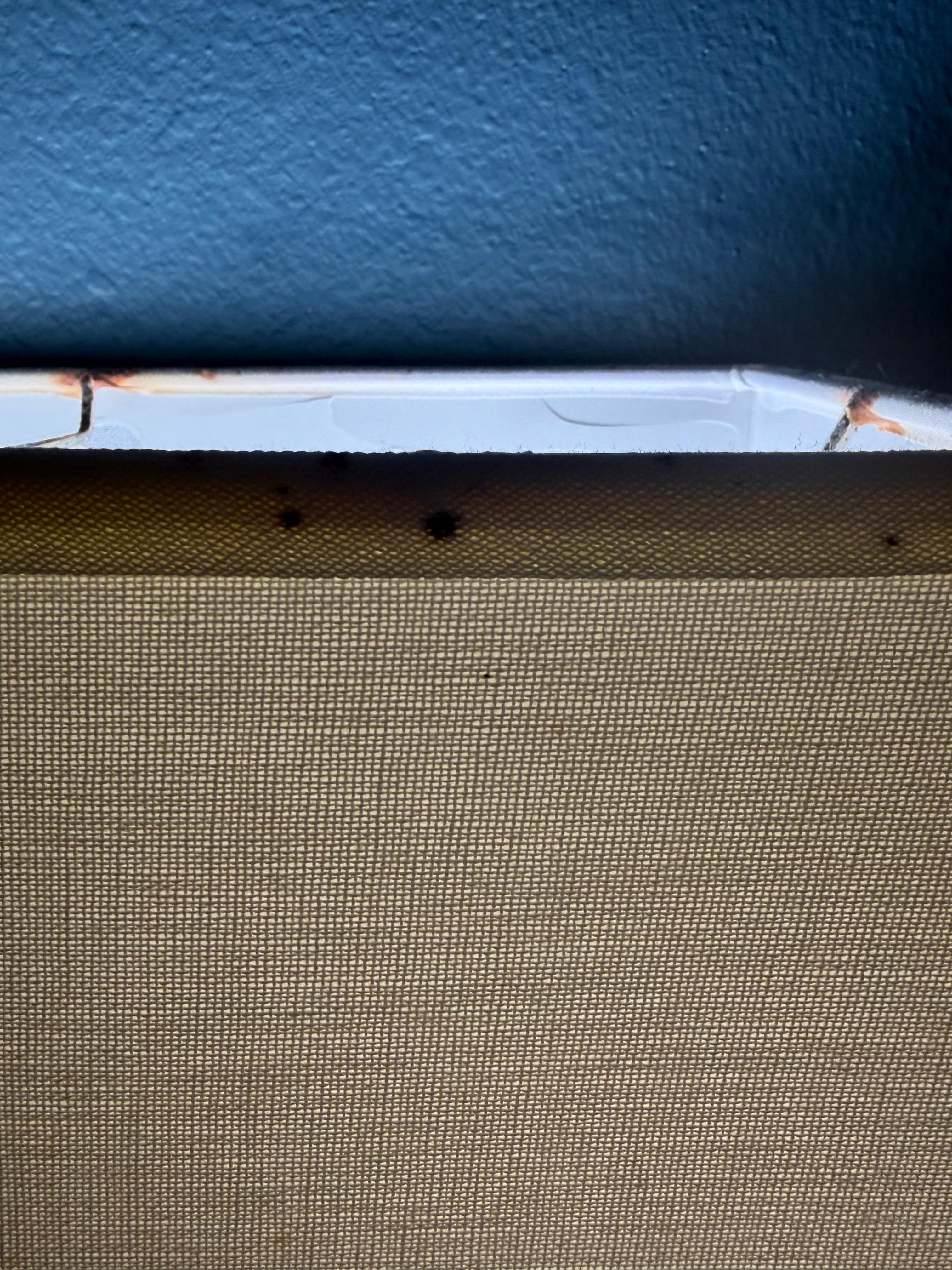 Stains of possible bed bug infestations