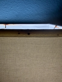Stains of possible bed bug infestations