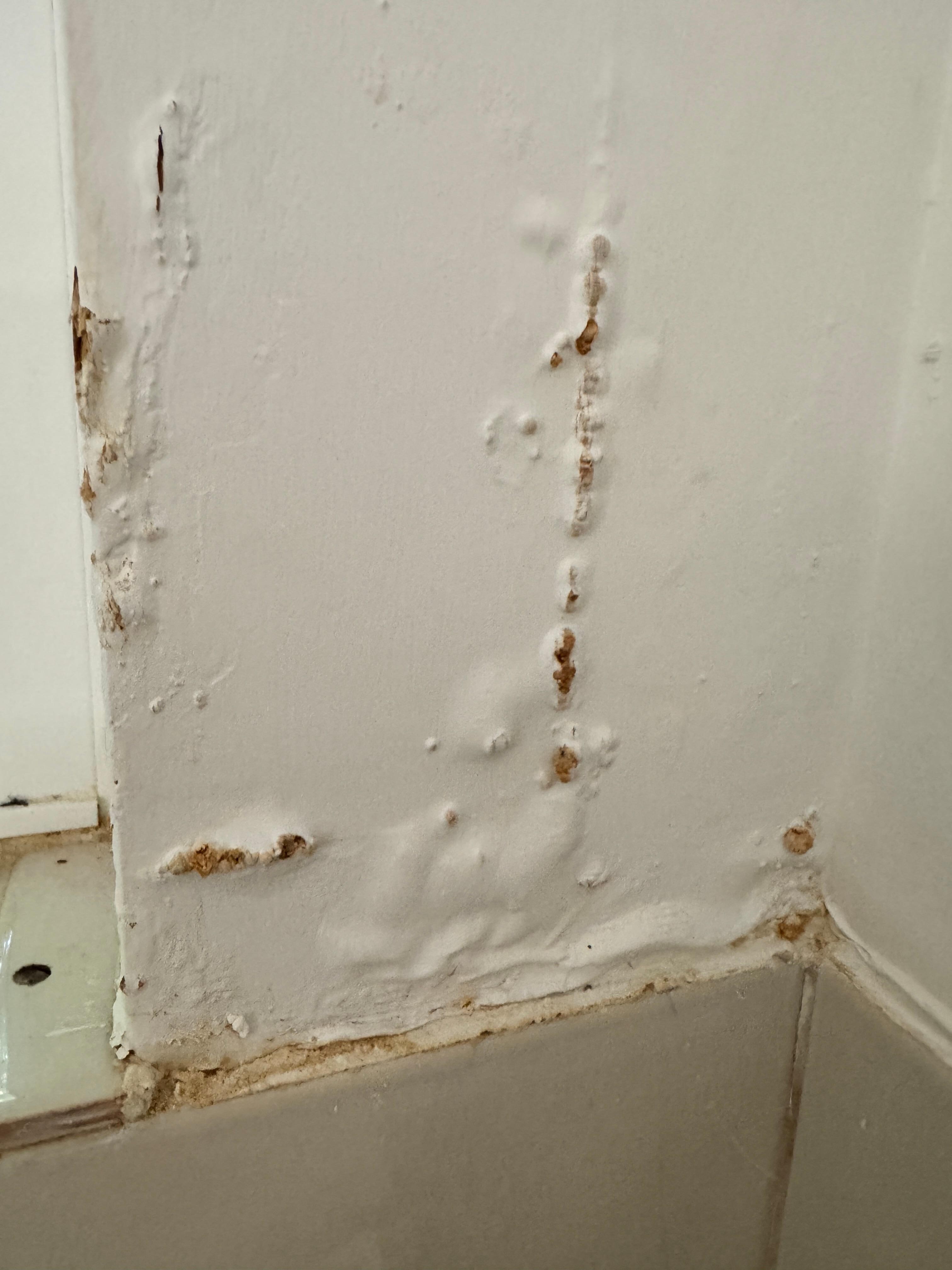 More water damage in laundry room