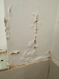 More water damage in laundry room