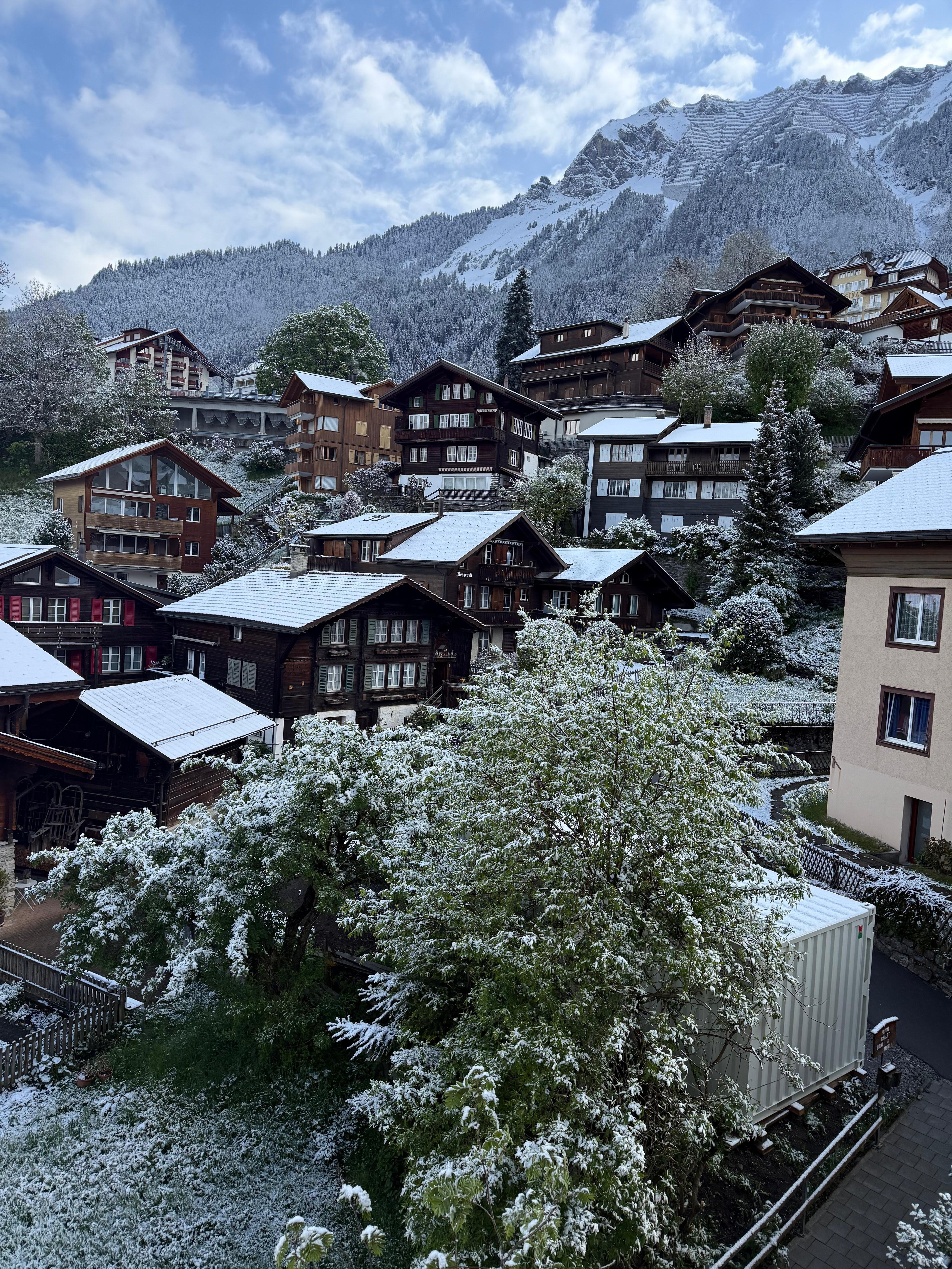 View from room