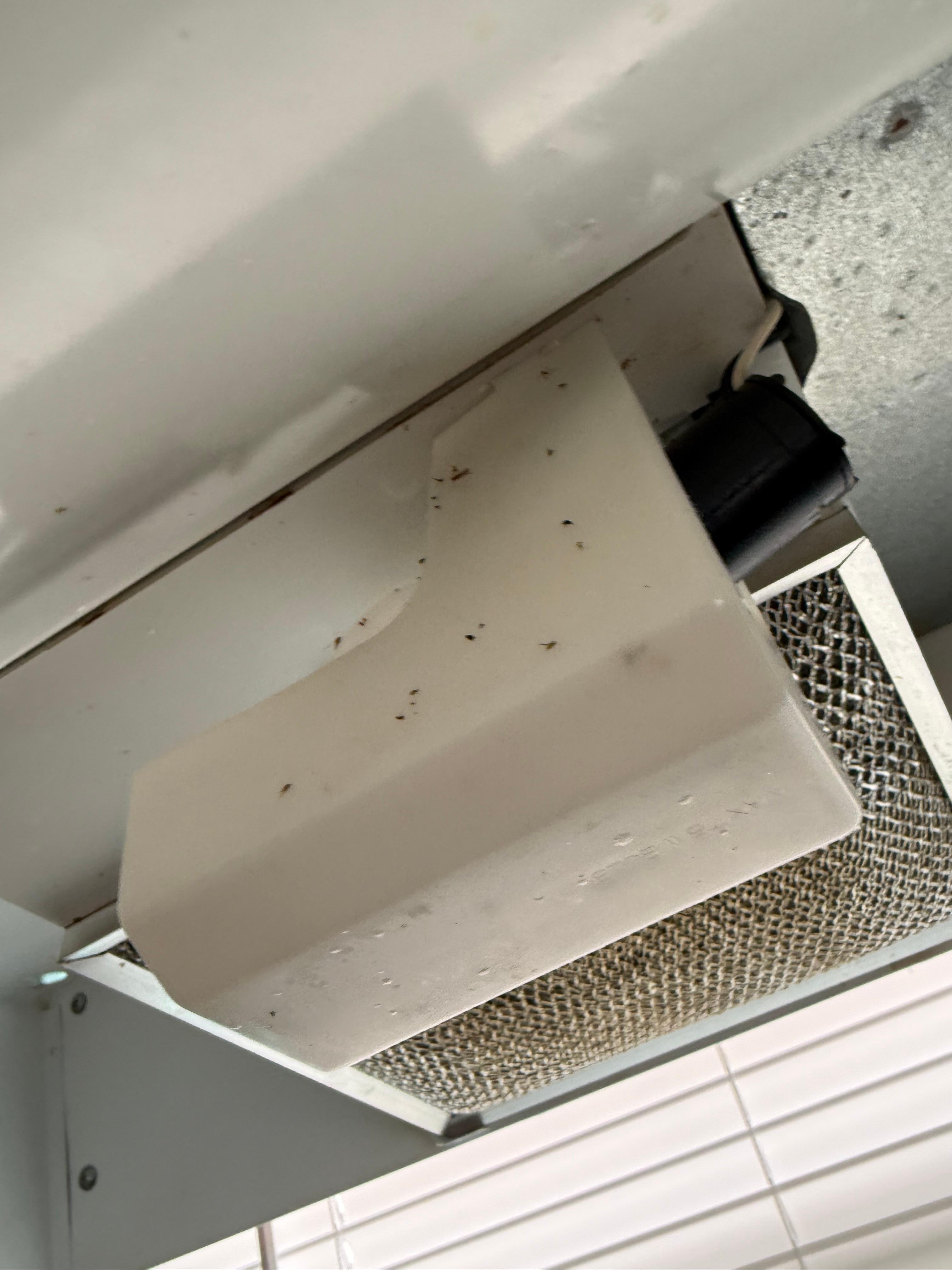 Air conditioning vent directly over the stove top