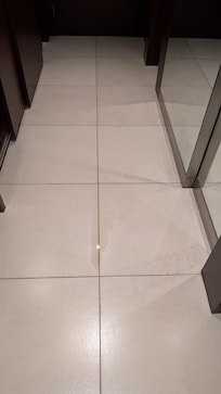 water licking from AC vent