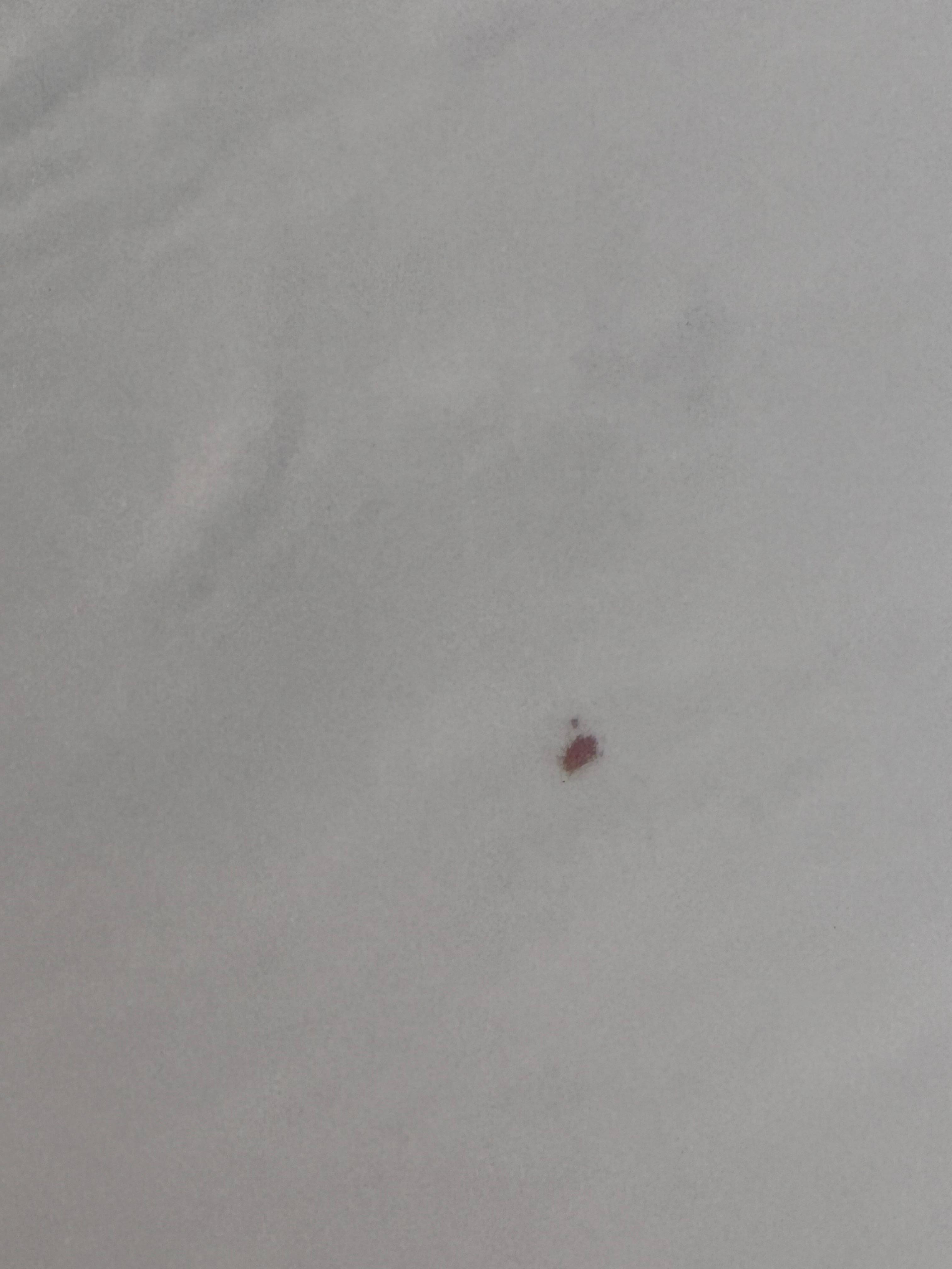 Blood drop in the bathtub