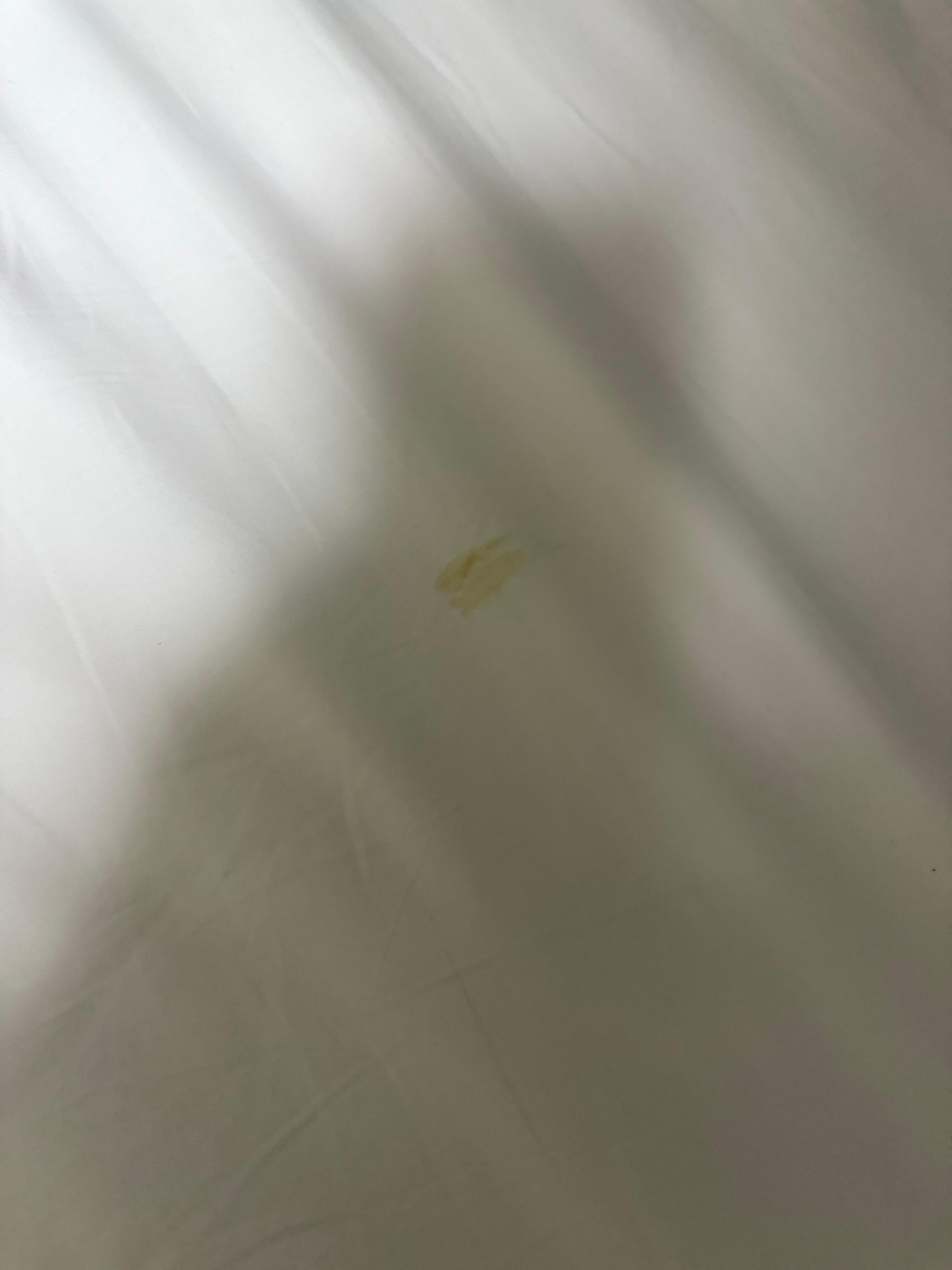 Stain on my bed after my bed was made??