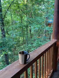 View from the back porch