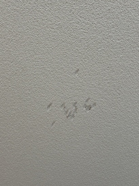 Löcher in der Decke