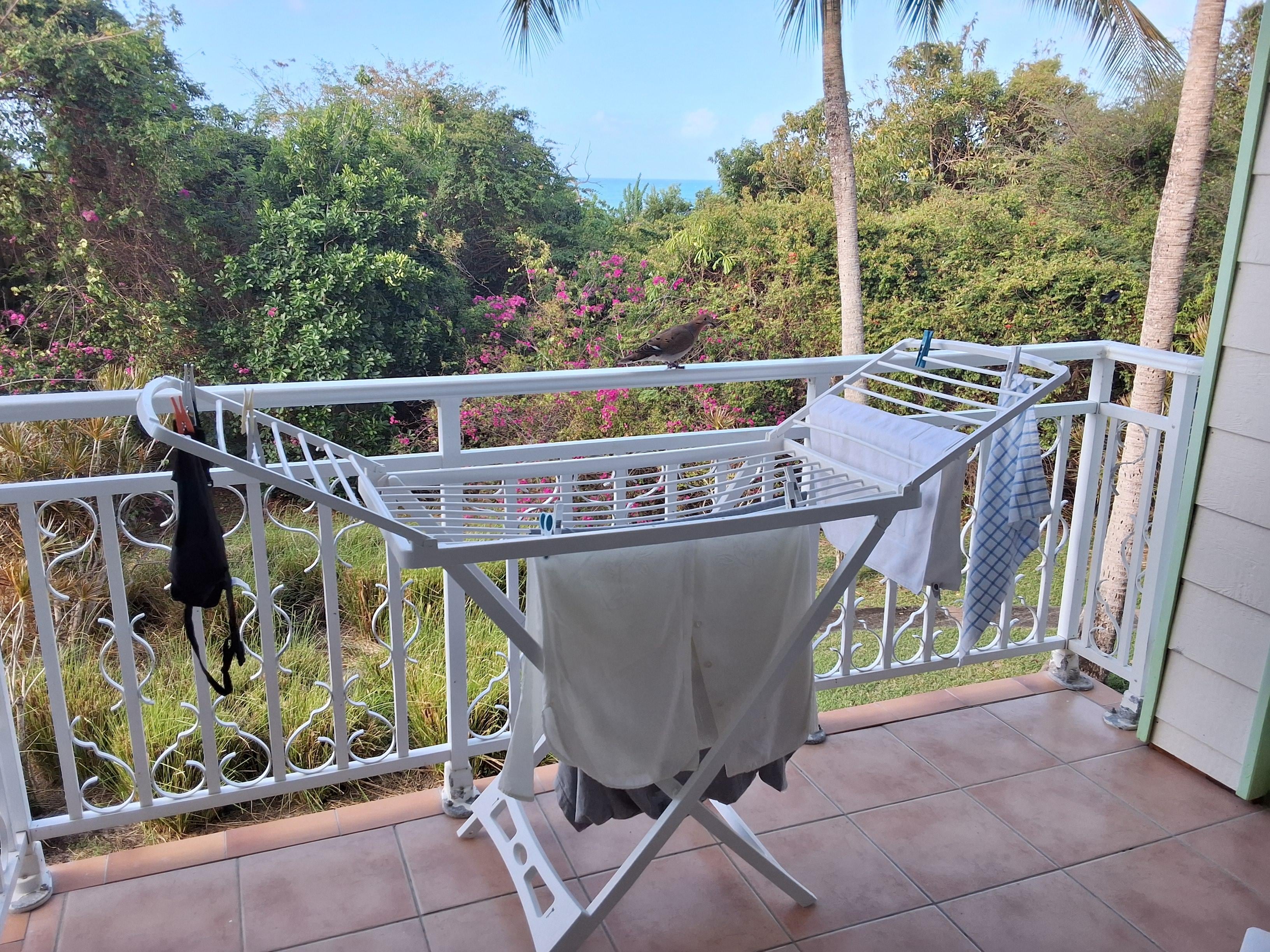 On avait des petits oiseaux qui venaient prendre le petit déjeuner avec nous, c'était charmant!