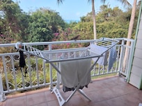 On avait des petits oiseaux qui venaient prendre le petit déjeuner avec nous, c'était charmant!