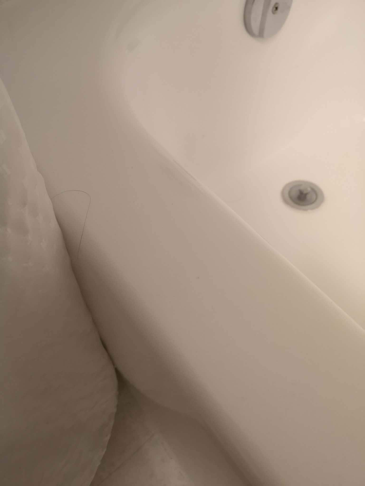 Hair in the tub in first room
