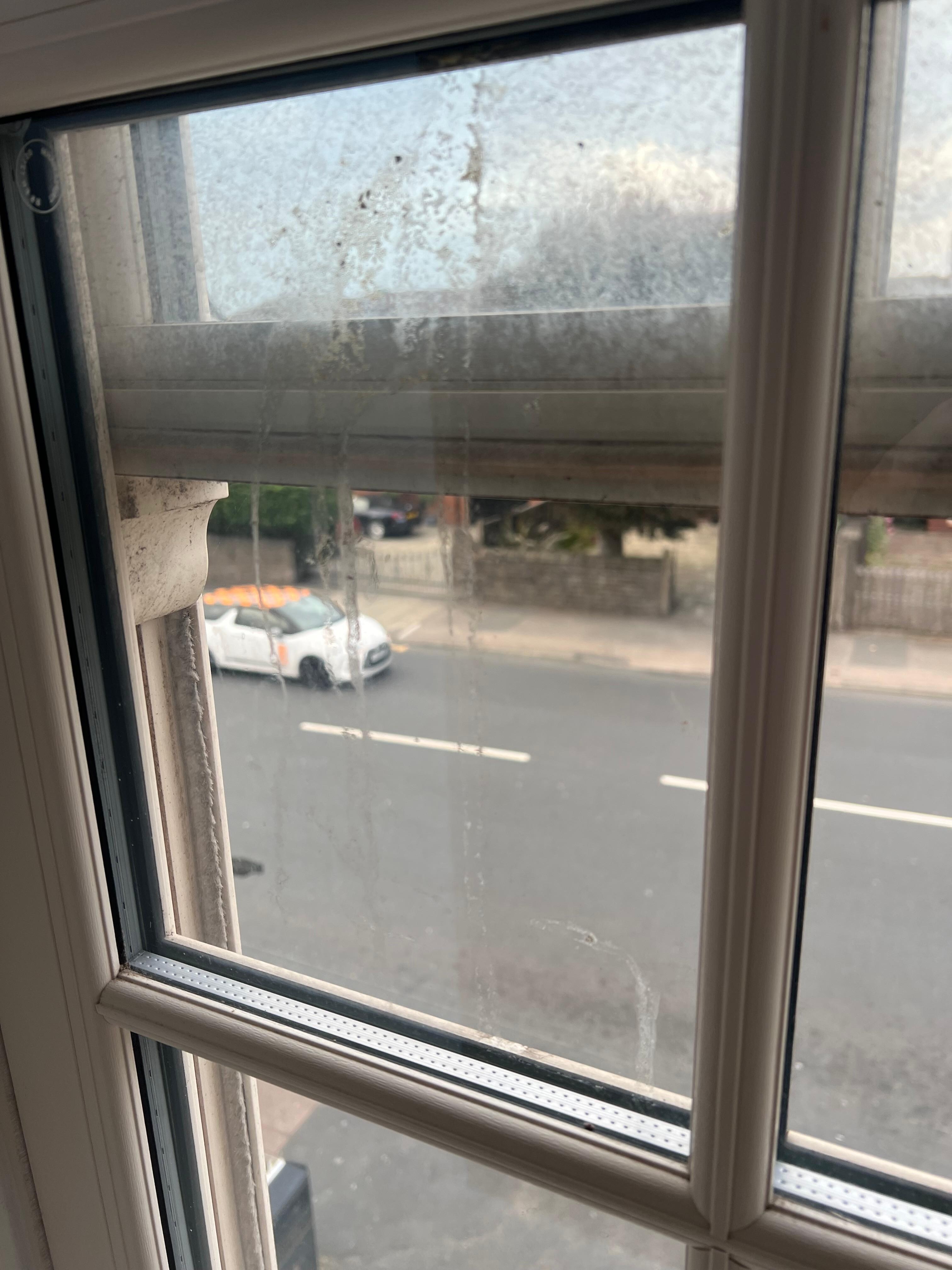 windows after opening closed curtains