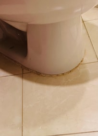 Escape de agua en la base del sanitario de aguas servidas