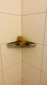 Cleaning of toilets