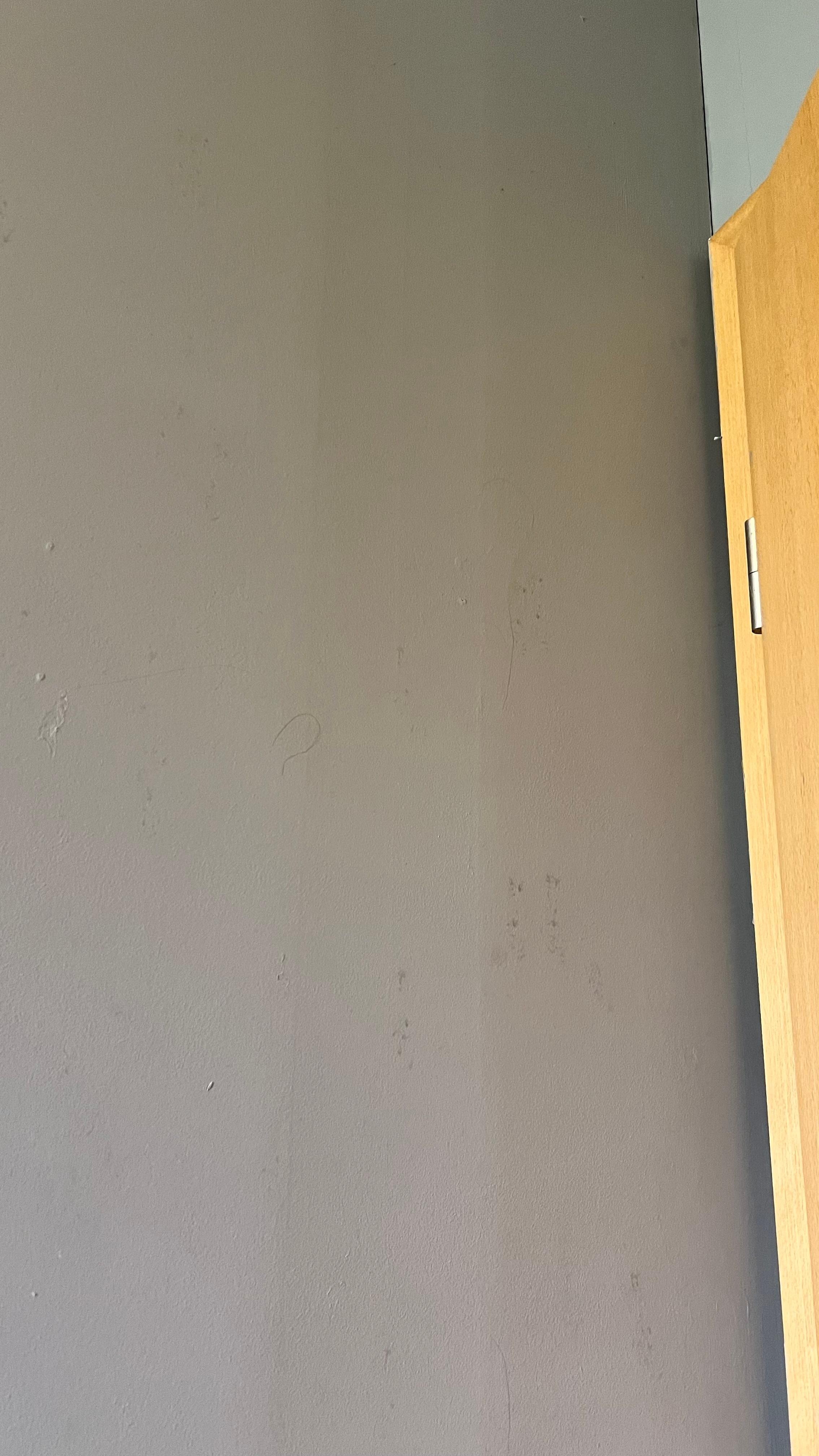 Mould behind bathroom door