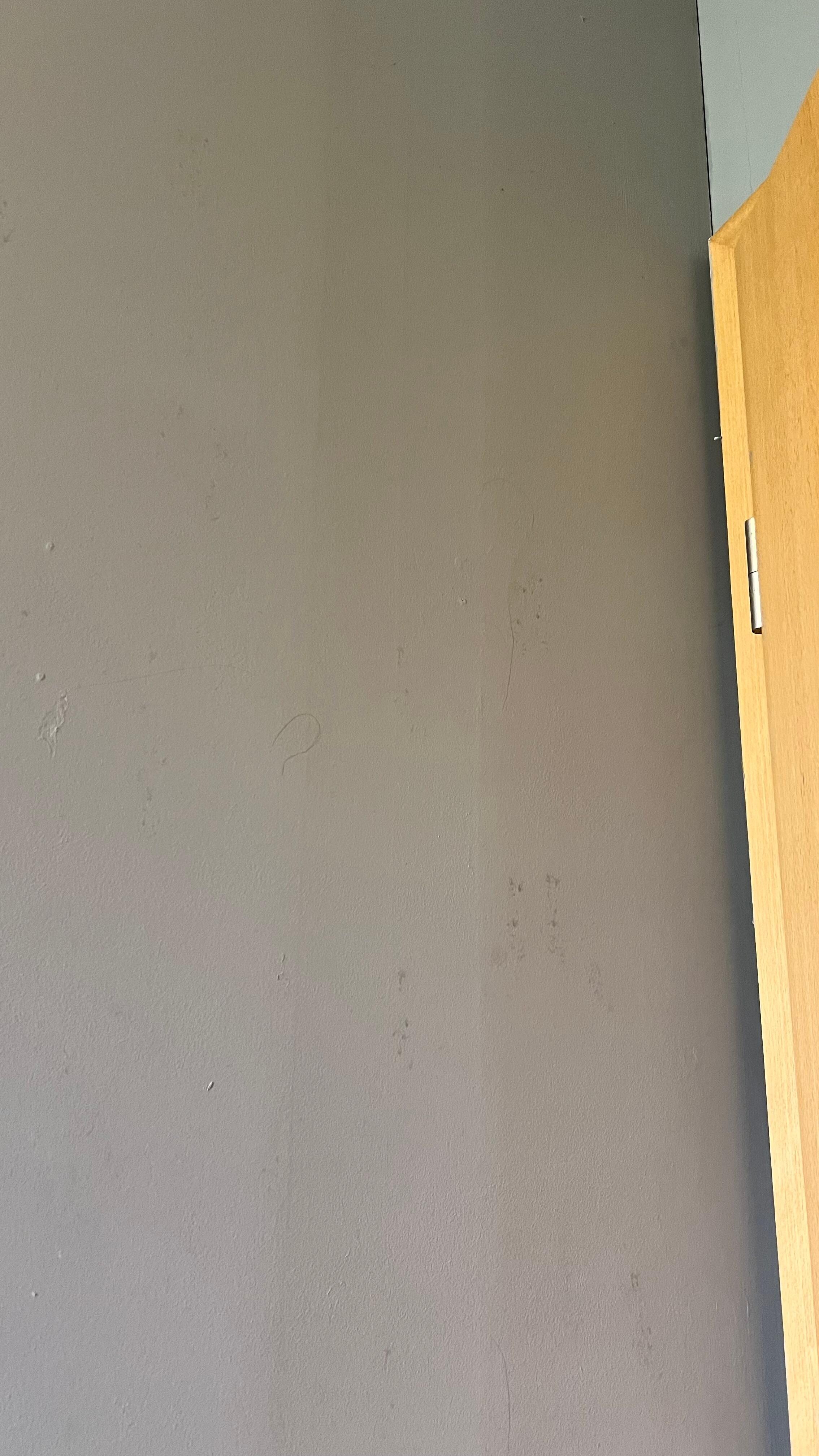 Mould behind bathroom door