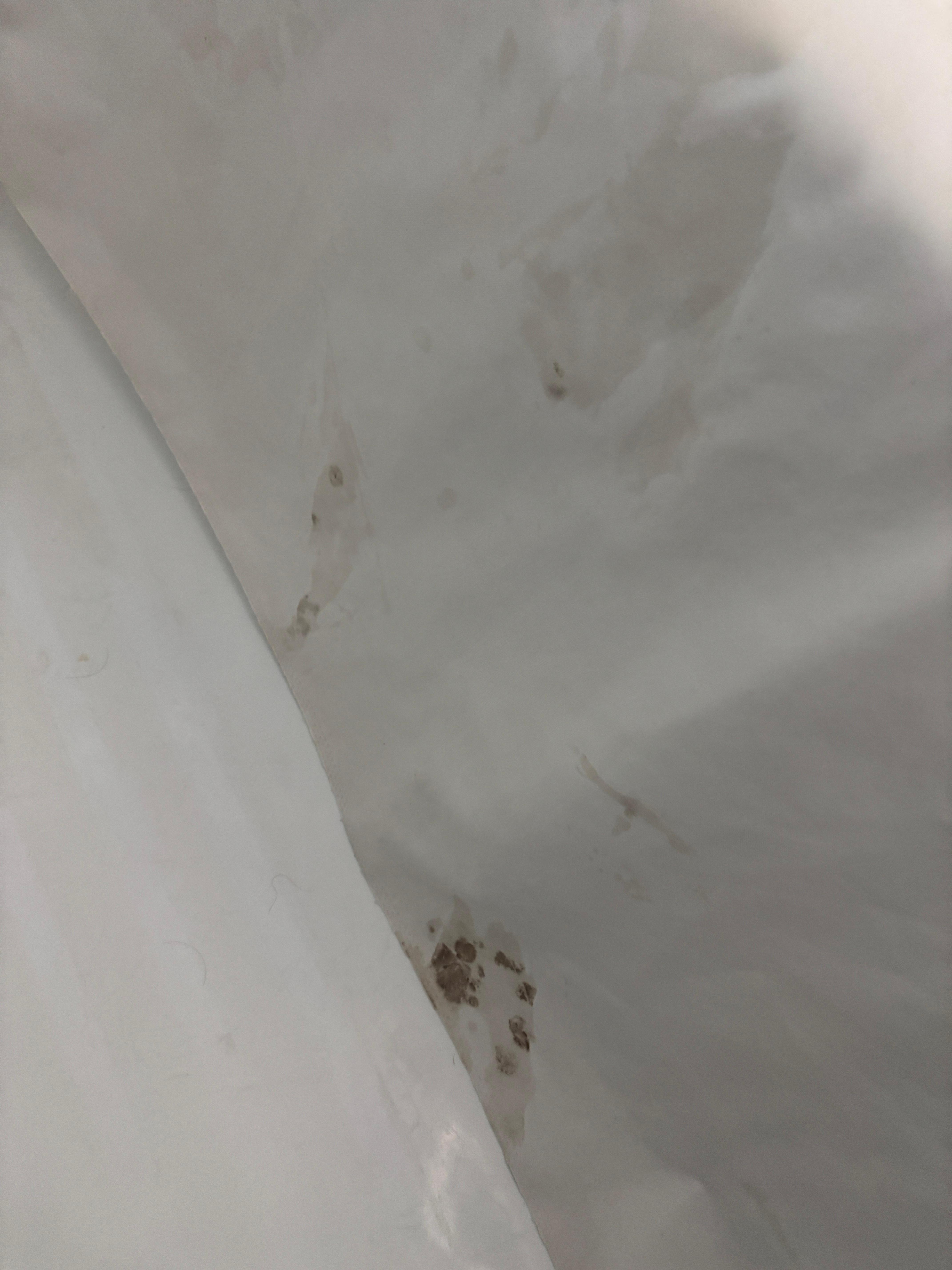 The shower curtain is revolting