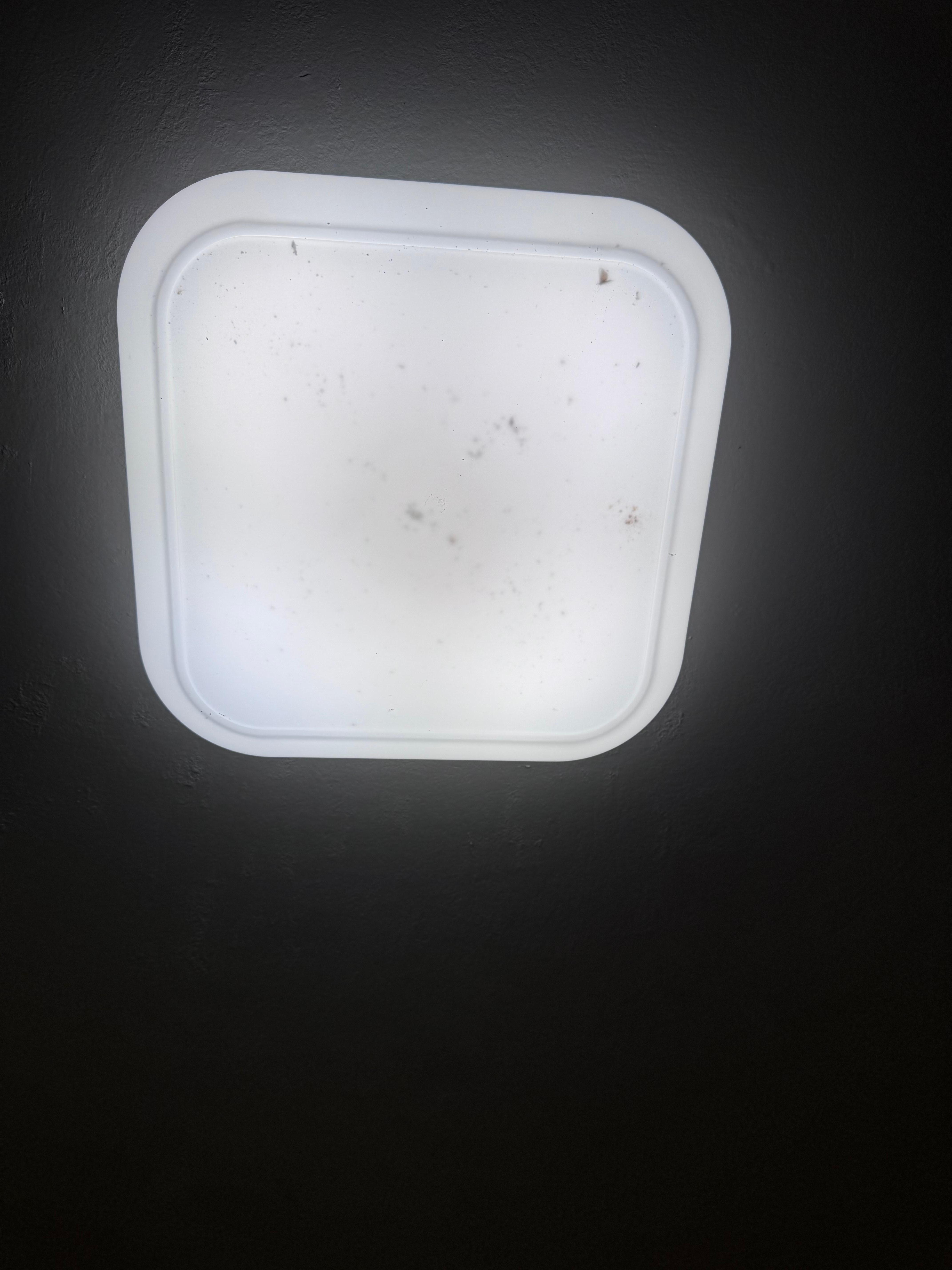 Dead bugs in light fixture 