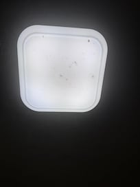 Dead bugs in light fixture
