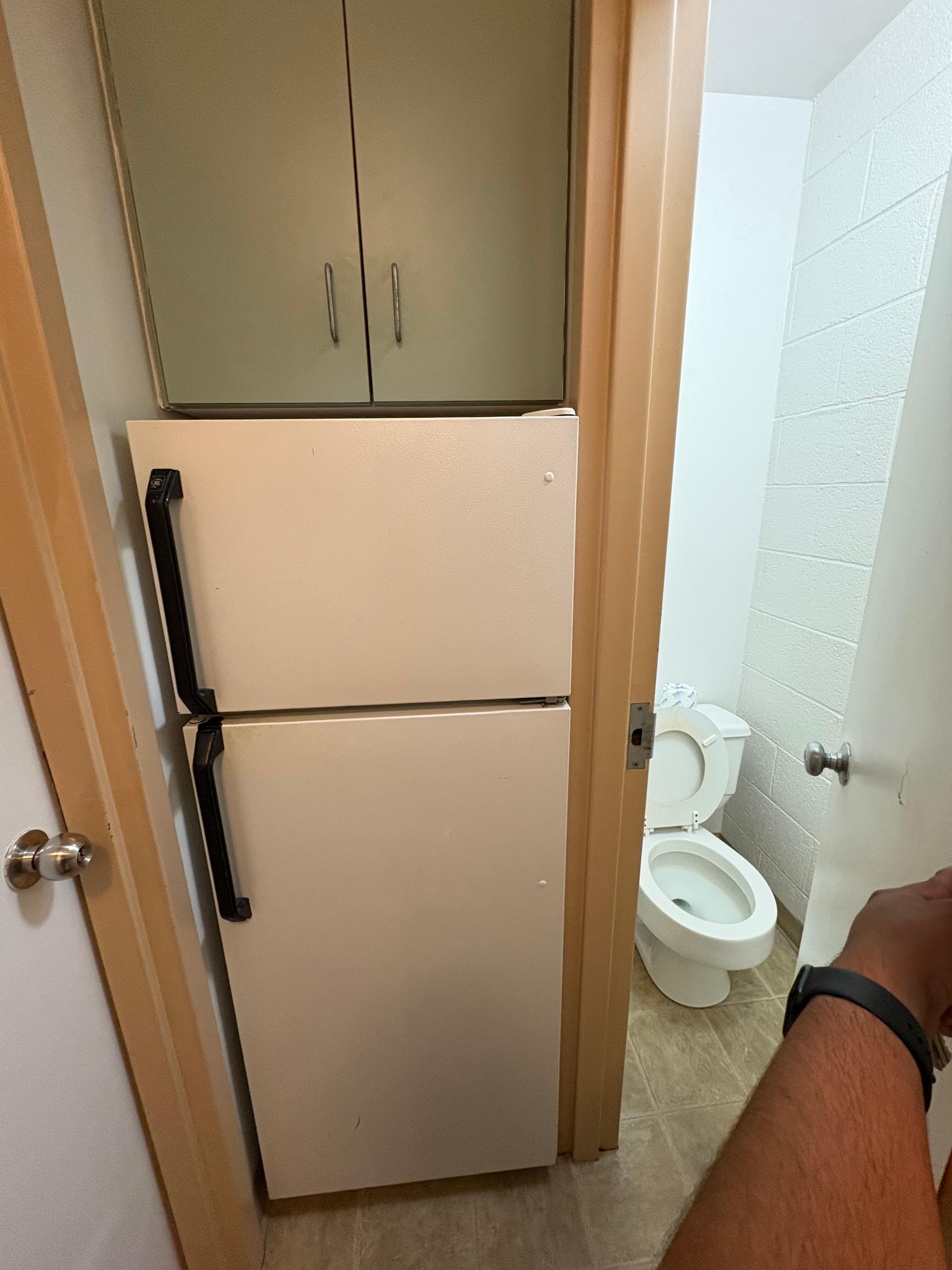 Fridge and toilet
