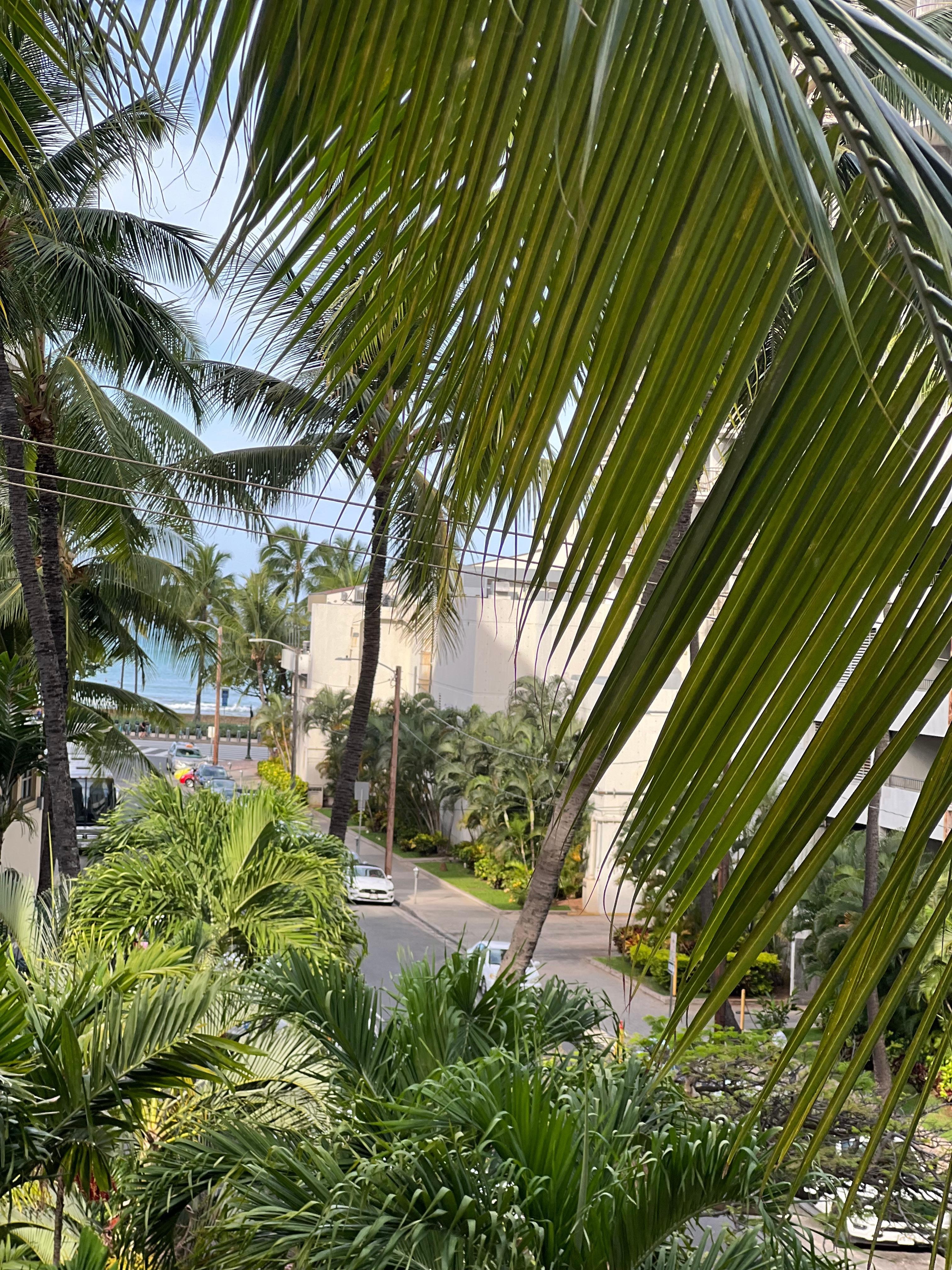 View from the third floor - morning breakfast 