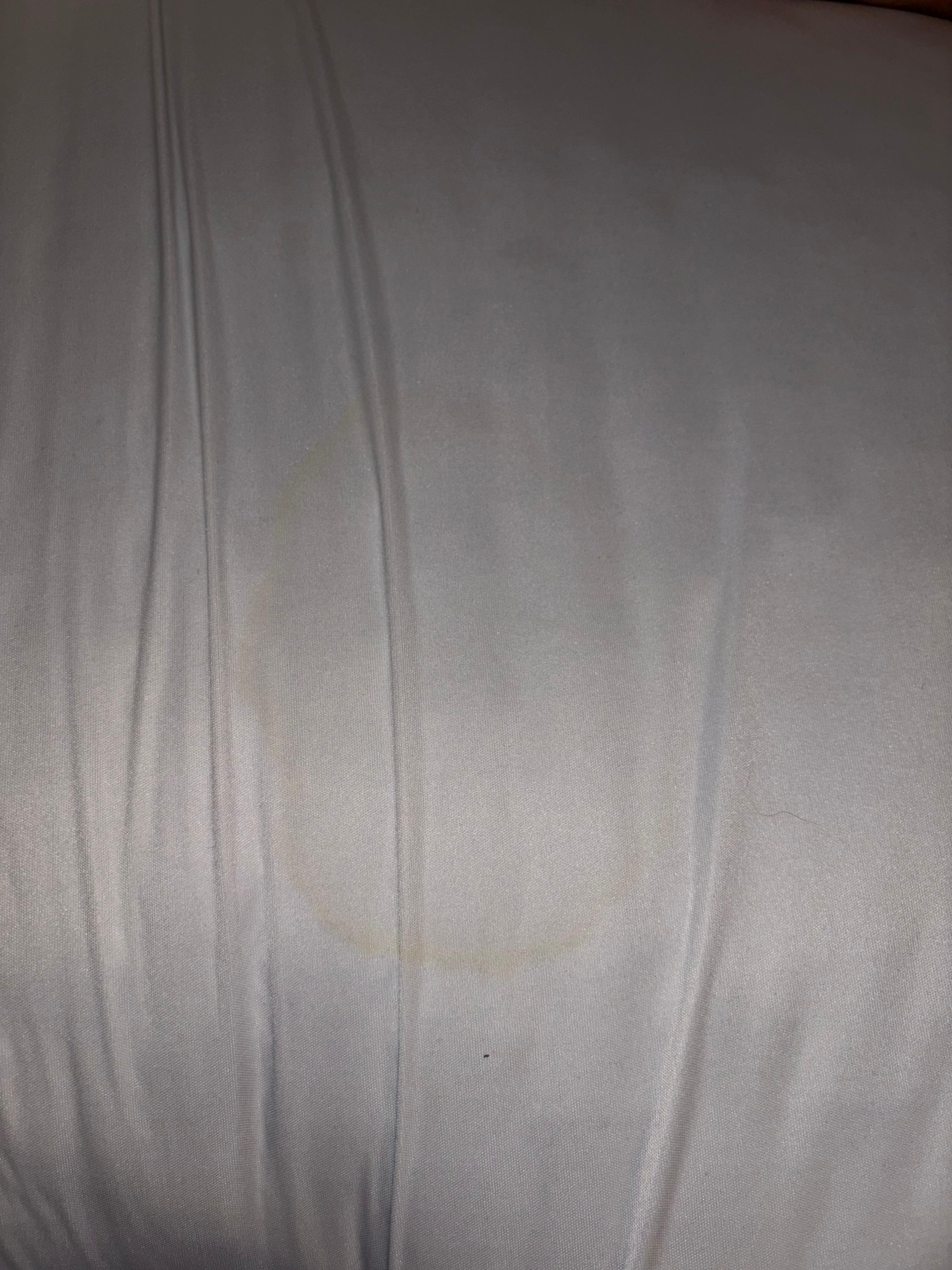 Urine stained in our sheets. Smelled disgusting 