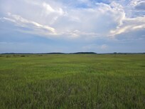 View of the Marvel Salt Marsh preserve from the second floor balcony. Beautiful place to sit and watch the storms come in.