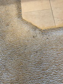 Dirty carpet leading into living room