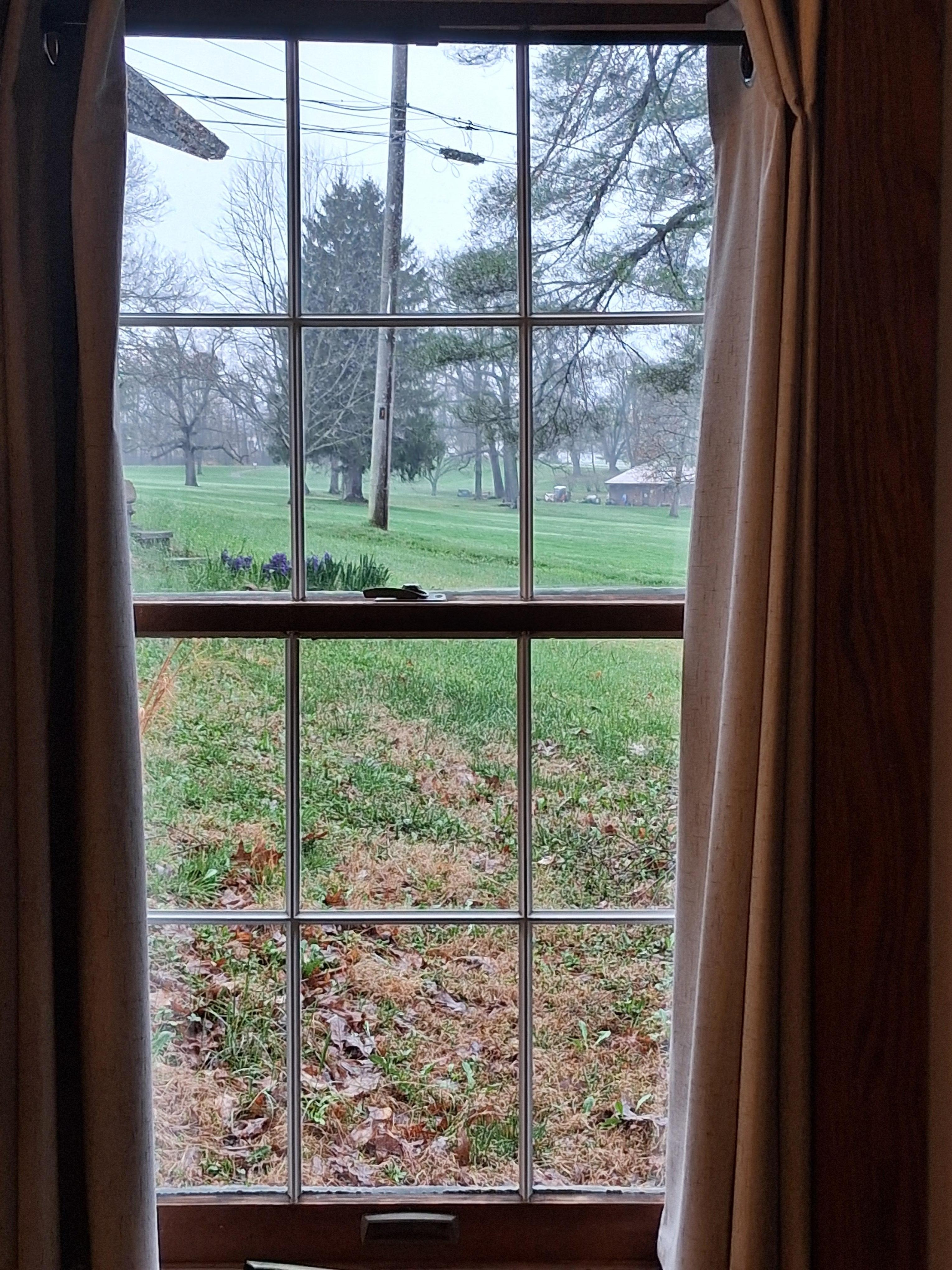 View while eating breakfast in kitchen