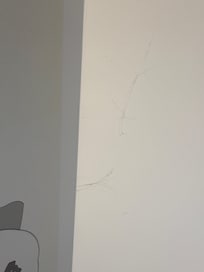 Giant spider webs above bed