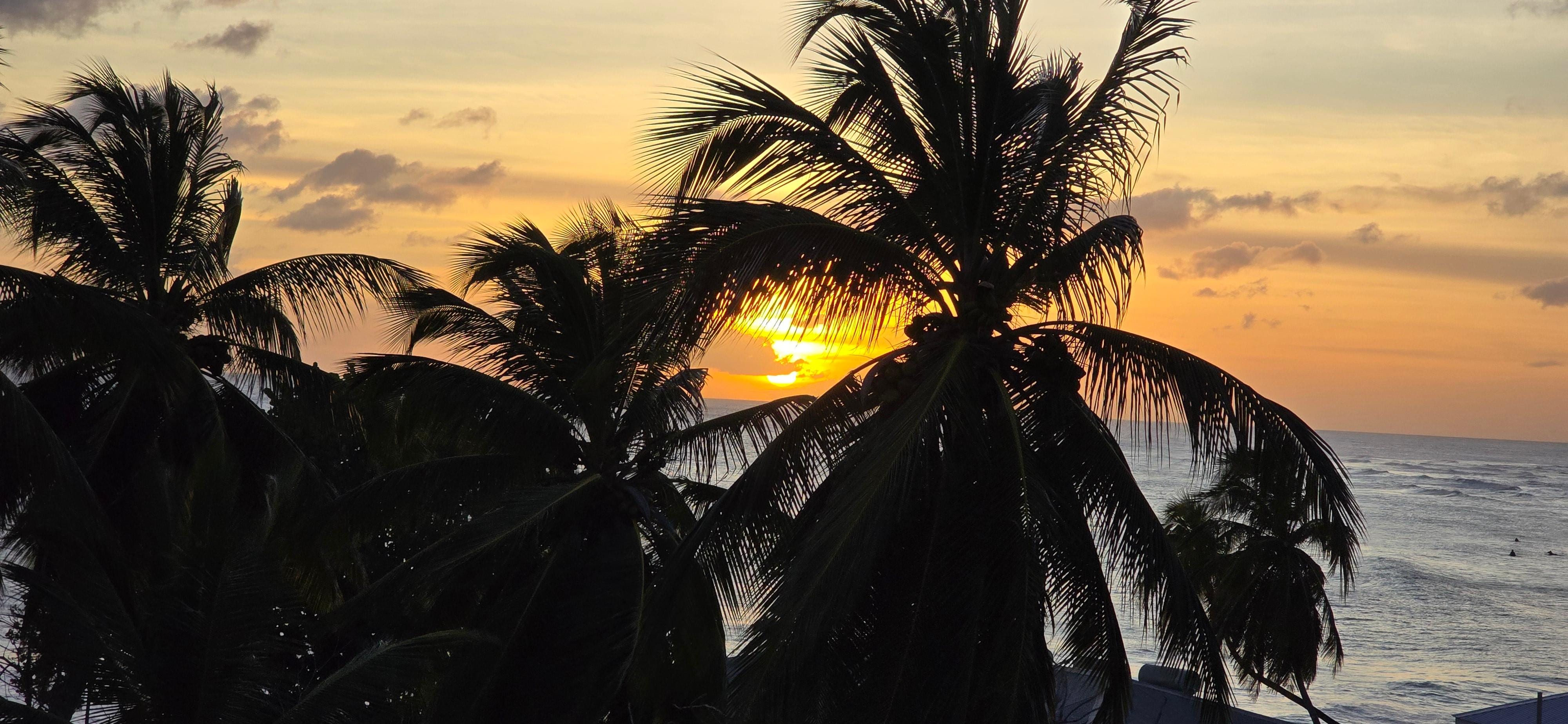 Excellent view from the balcony. Unfortunately, a tall apartment building is scheduled to be built on the lot beside this building, blocking the view and any sun from the balcony. 