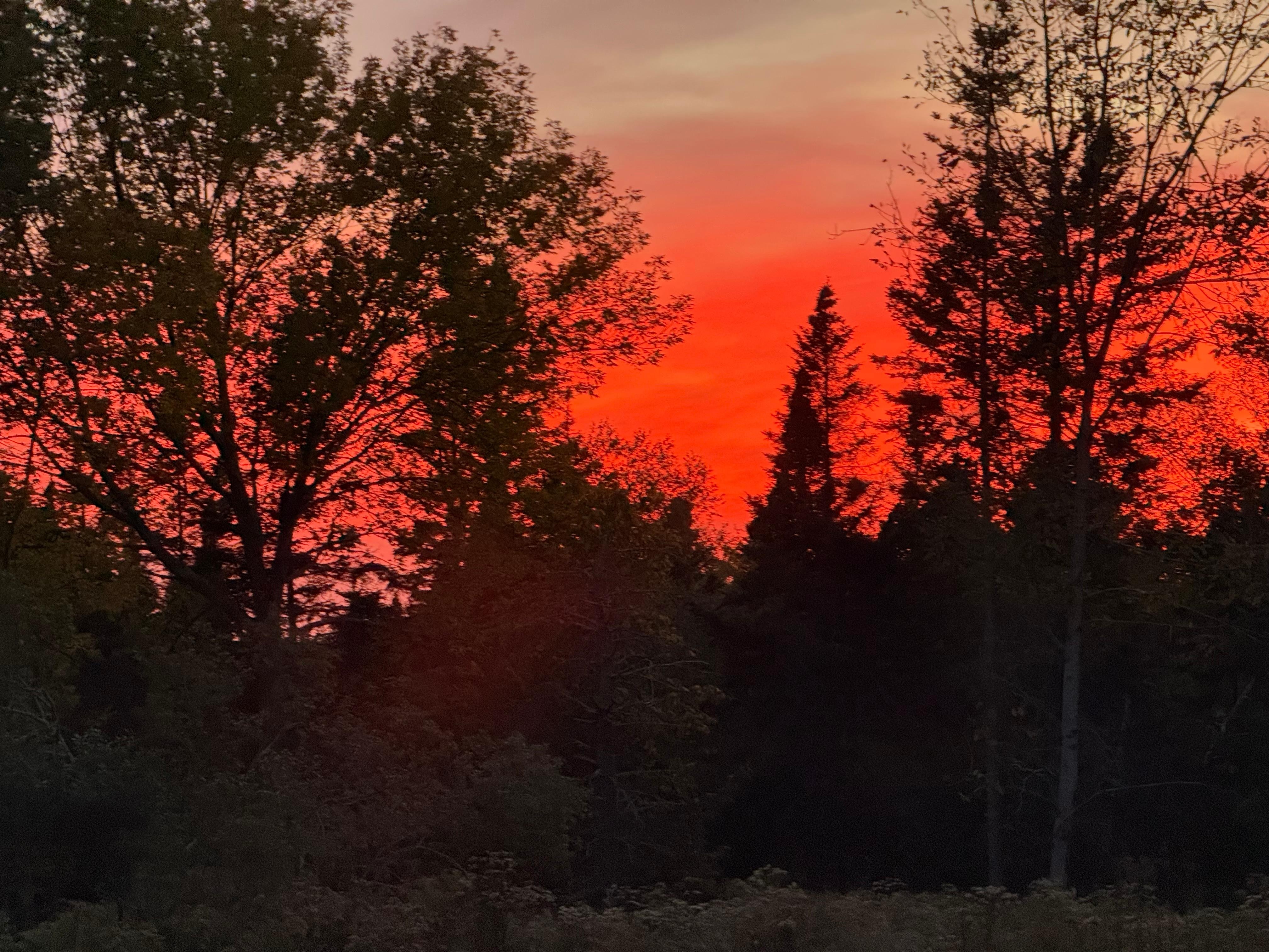 Sunset from the backyard. (no filter, no kidding)