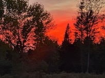 Sunset from the backyard. (no filter, no kidding)