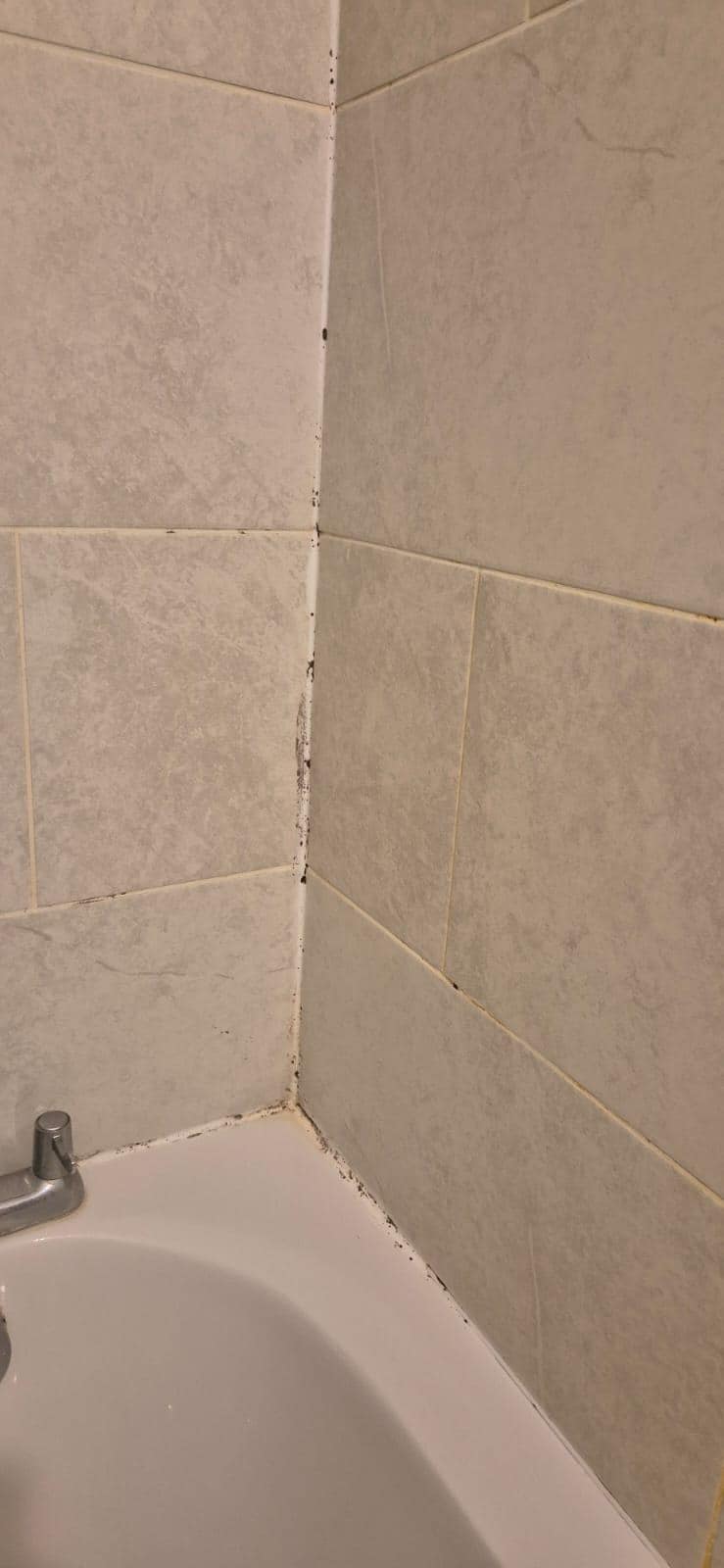 Mould all over bathroom