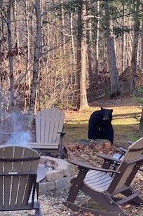 One of three bears near back fire pit area!