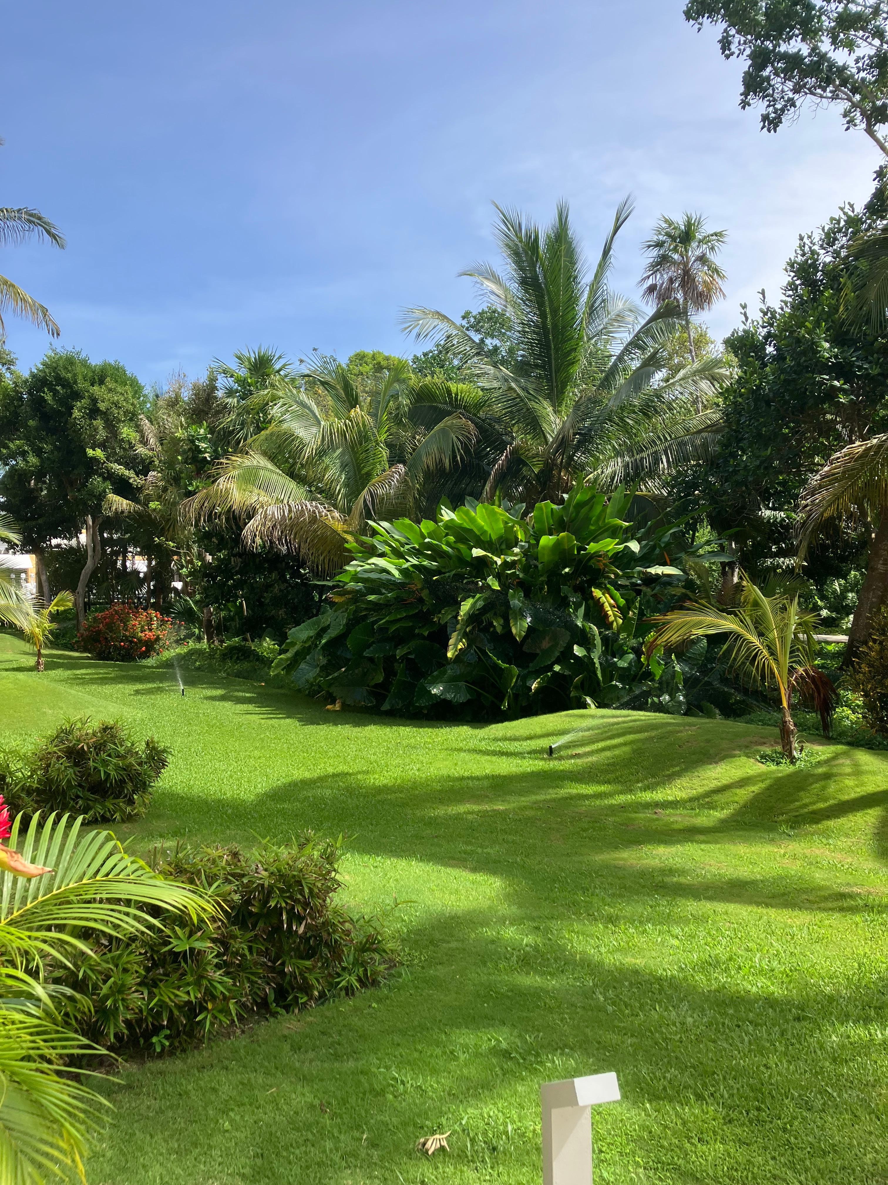 Green space outside our room