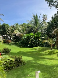 Green space outside our room