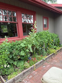 Cute back patio with garden