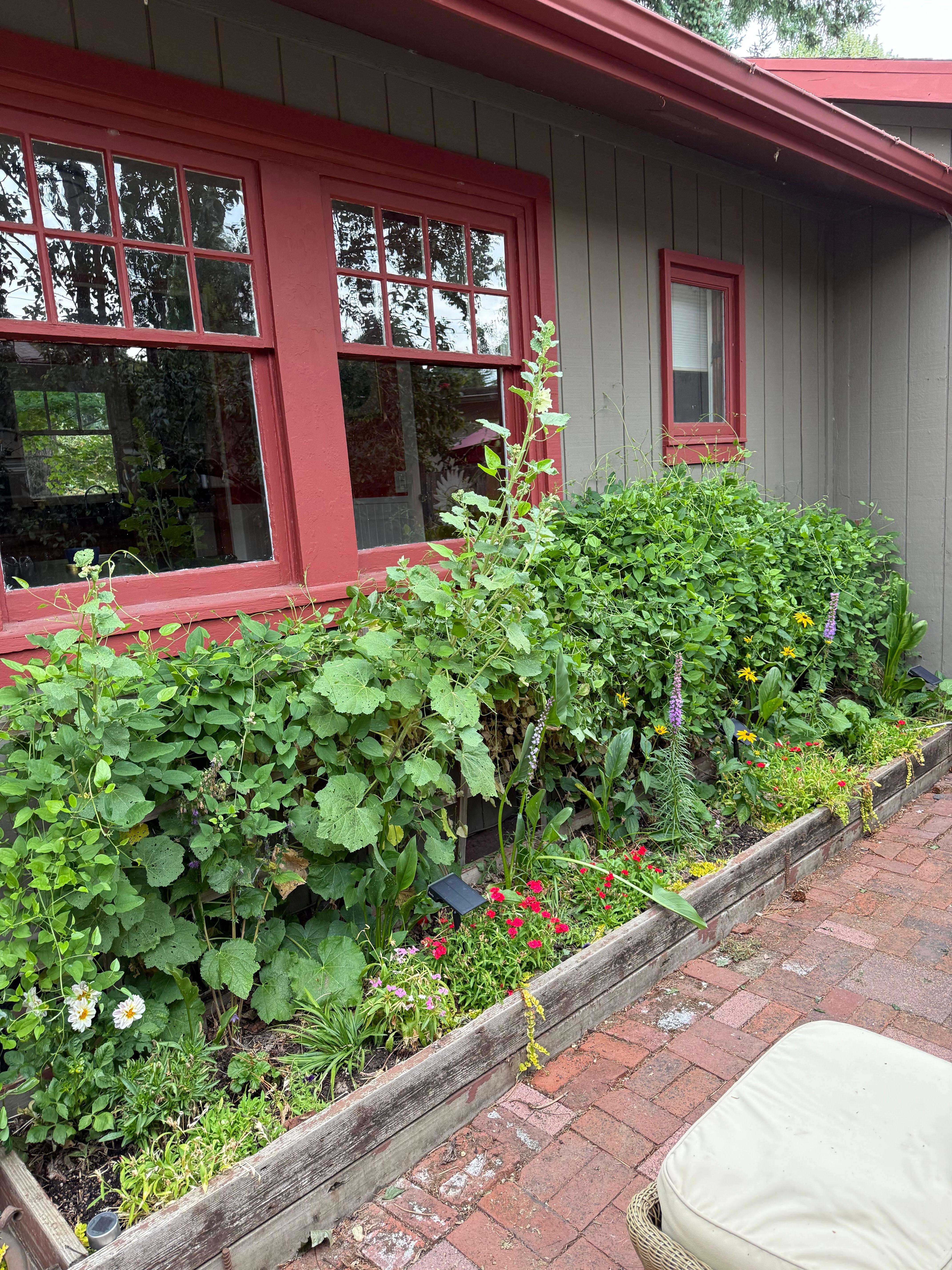 Cute back patio with garden 