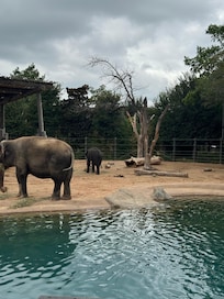 Zoo