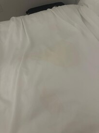 Freshly urine stained sheets and it smells like a porta potty.