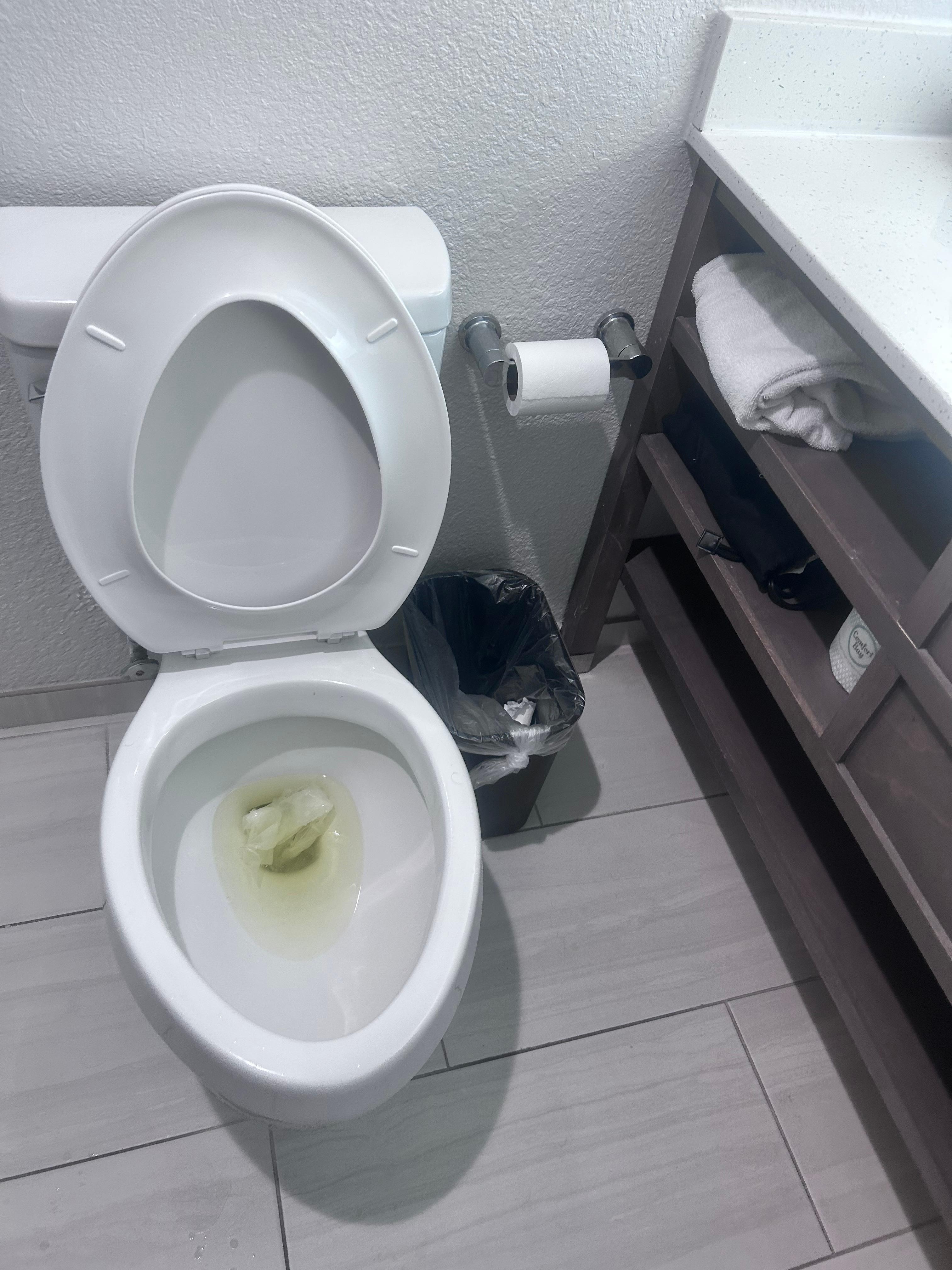 Toilet had piss, hair on seat.